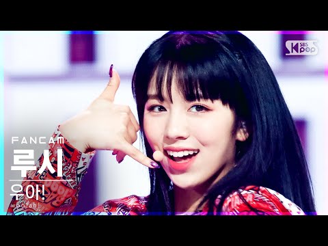 루시