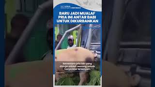 Baru Jadi Mualaf, Seorang Pria di Papua Tengah Antar Babi ke Masjid untuk Dijadikan Hewan Kurban