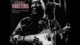 Muddy Waters -  Maison De Radio, Paris, France 1976