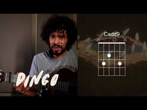 Songbook DINGO: Tropeço