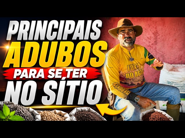 Principais adubos para se ter no sítio