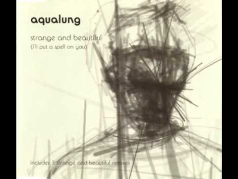 Aqualung - Strange and Beautiful (Aqualung/Loop Theory Remix)