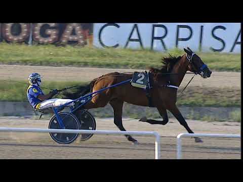 Napoli Trotto 05/09/2023 - 8ª corsa