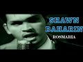 Download Lagu Shawn Baharin - Rosmaria Mp3 Free