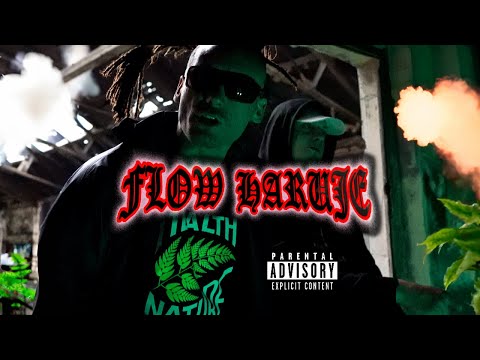 🌿 MŁODY BÓG MFC, PIKERS - FLOW HARUJE (prod. MŁODY BÓG) 🌿