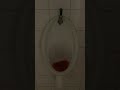Armitage Shanks Urinal