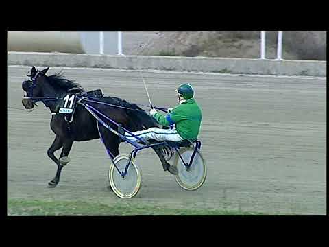 Napoli Trotto 24/12/2021 - 4ª corsa