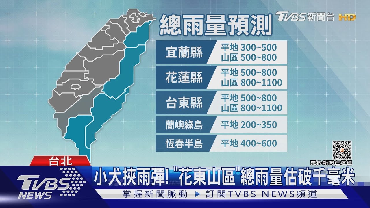 小犬襲花東！　國慶國旗急拆、賣場現搶購潮