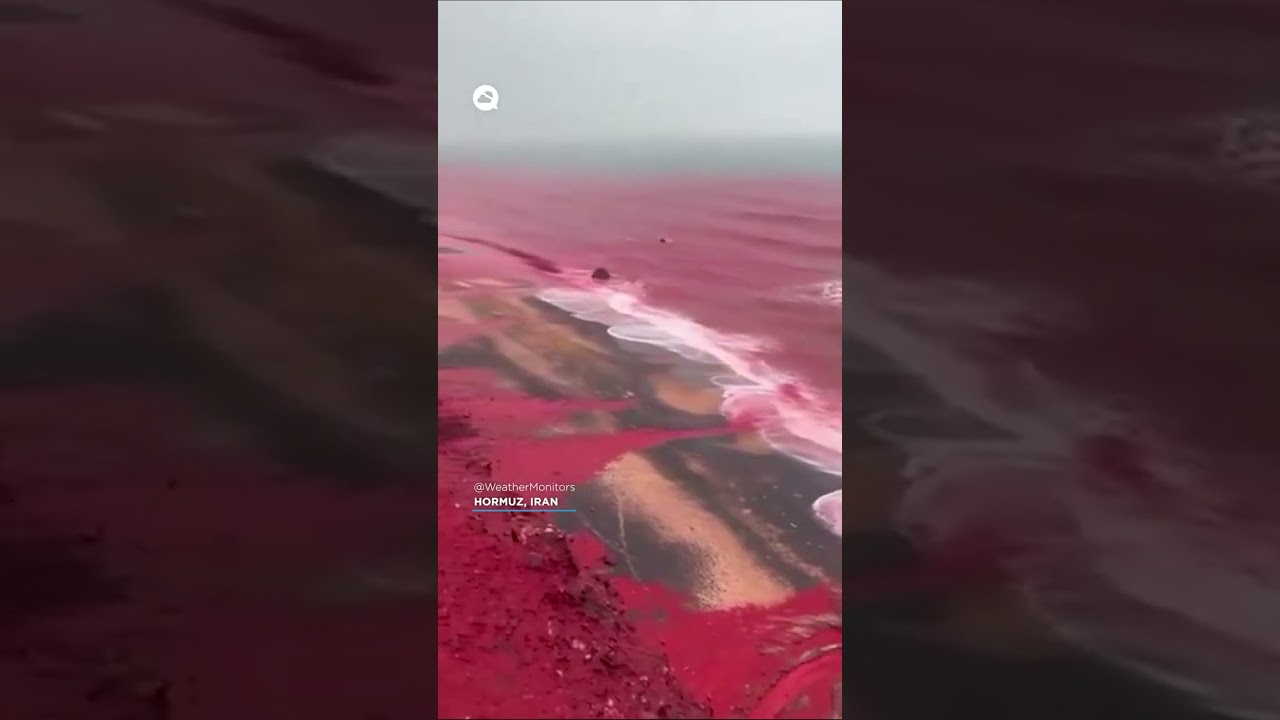 youtube video id=vylWAOMsy5A