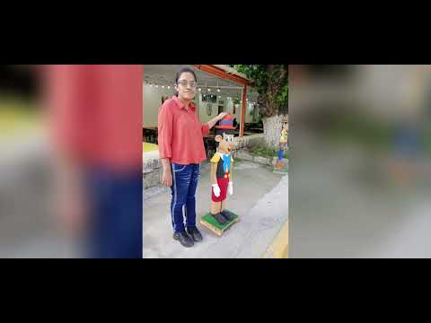 AMBATO LA JUNTA CATAMARCA 