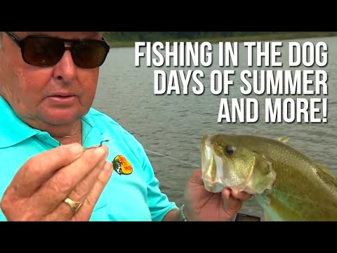 Fishing in the Dog Days of Summer and more!