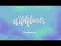 Wildflower Live Billie Eilish 1 Hour Version New Fave Song