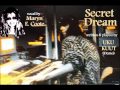 My1stSecretDream(origin.demo