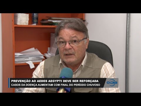 Casos de Dengue, Zika e Chikungunya aumentam em fim de período chuvoso 05 05 2023