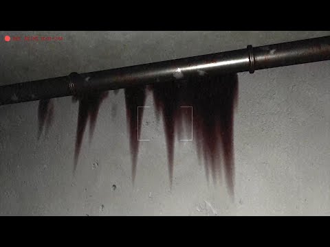 Cursed Apartment youtube-video