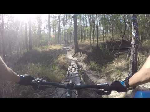 Nerang MTB - 5 ways log
