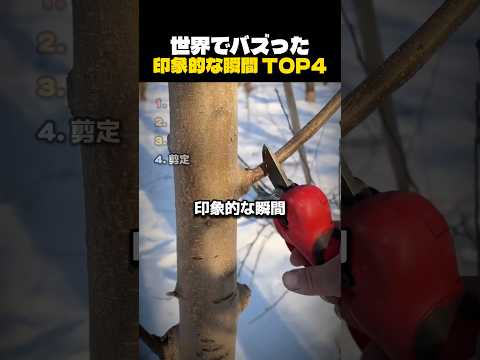 世界でバズった印象的な瞬間