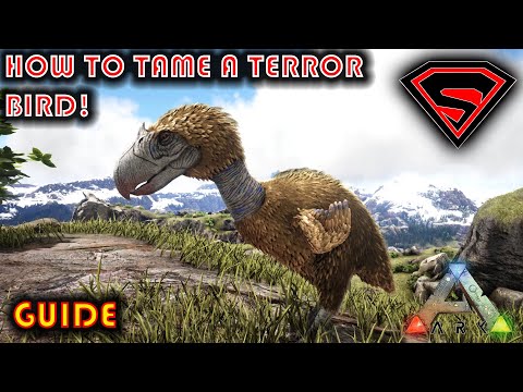 ARK HOW TO TAME A TERROR BIRD 2020 - EVERYTHING YOU  NEED TO KNOW ABOUT TAMING A TERROR BIRD