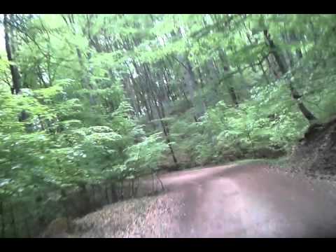 MTB coborare pe Cloasterf segment nou