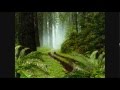 Psilocybin Mushroom Visual Effects (Open ...