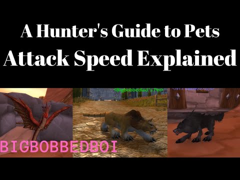 A Hunter's Guide to Pets : Attack Speed | PvE, PvP, Misconceptions, Classic WoW Tutorial