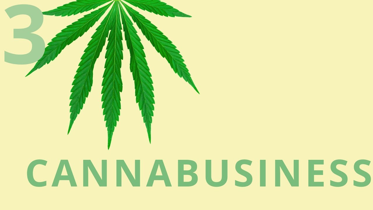 Drauzio Dichava #3 | Cannabusine$$