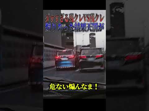 【超スカッと】お手本みたいな残クレアルファード同士が煽り合い！？🤣🤣🤣#shorts