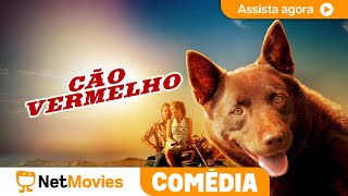 Cão Vermelho