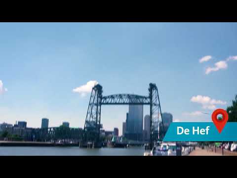 Bus line 32: Discover Rotterdam and surroundings with public transport