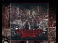 NAILED SHUT Indecent Disposal 2009 BRUTAL DEATH GRIND