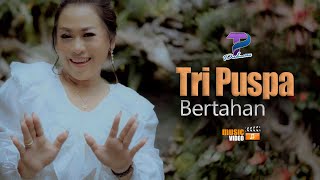 Download lagu Tri Puspa - Bertahan mp3