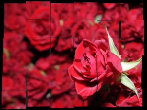 download lagu mp3 mp4 Mes Trente Trois Ans, download lagu Mes Trente Trois Ans gratis, unduh video klip Mes Trente Trois Ans