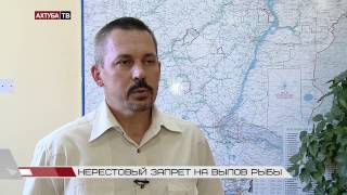 Министерство рыболовного хозяйства и рыболовства