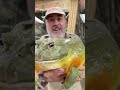 That Difference Between Male And Female Pixie Frog Is Crazy Phrog Learnontiktok Tiktokpartner