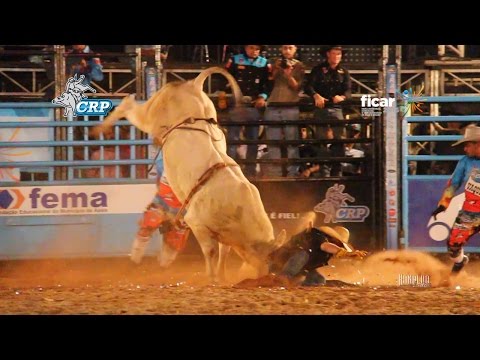 Rodeio da FICAR de Assis 2016   MELHORES TOUROS   QUINTA FEIRA