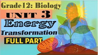 Grade 12 Biology Unit 3 Energy Transformation (Full Lesson)