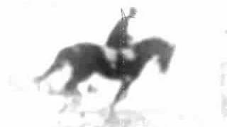 Why girls love horses