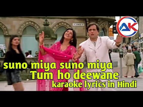 suno miya suno miya tum ho deewane karaoke lyrics in Hindi / Udit Narayan/ Apna karaoke