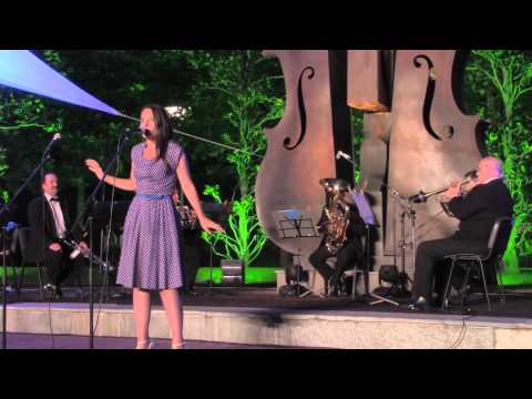 Dana Rotaru - Pana cand nu te iubeam