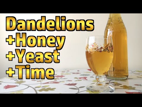 Dandelion Metheglin - Finishing, Bottling and Tasting (Mead - Herbal Honey Wine)