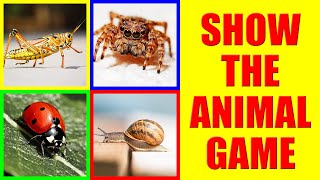 Show me the INSECTS Game for Kids - Where is the bug?