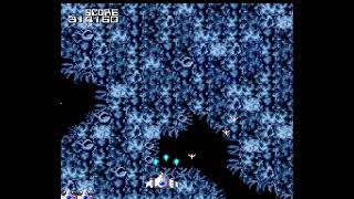 NT訓練　マインドシーカー