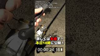 298円のアジで春イカを釣る方法