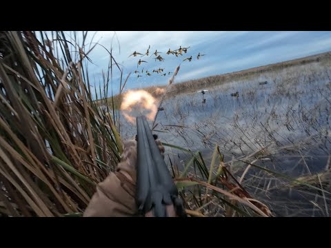 Vintage Double Barrel Shotgun Duck Hunting! (LIMITED OUT)
