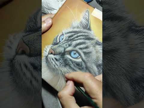New Cat Portrait on Canvas | The Art of Roberto Rizzo