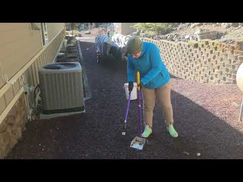 Keeping Hoodsport & Beyond Clean! 🐾 | Behind the Scenes with Olympic Scoop Co.