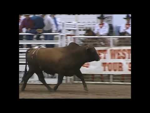 Scott Breding vs Midnight Special - 94 PBR Del Rio (80 pts)