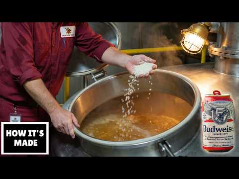 Why Budweiser Uses Rice Instead of Barley