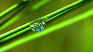 Beethoven Sonata No 8 Patetica jazz version