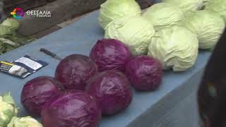 ΔΙΗΜΕΡΟ ΛΟΥΚΕΤΟ ΣΤΙΣ ΛΑΪΚΕΣ ΑΓΟΡΕΣ ΤΗΣ ΛΑΡΙΣΑΣ ΒΑΖΟΥΝ ΟΙ ΠΑΡΑΓΩΓΟΙ 05 01 2026